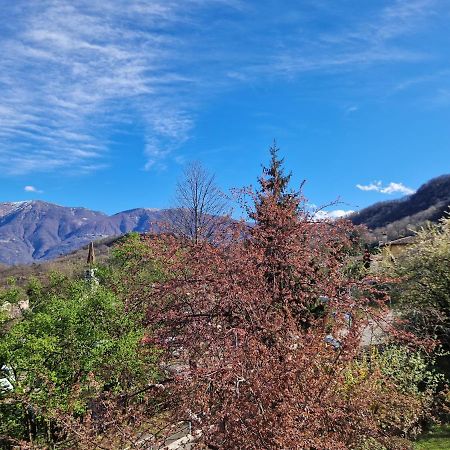 Hotel Zelindo Losone Eksteriør bilde