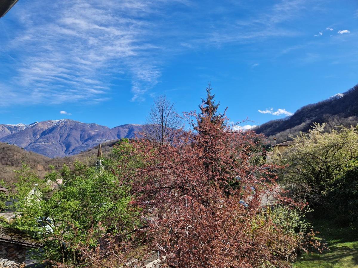 Hotel Zelindo Losone Eksteriør bilde